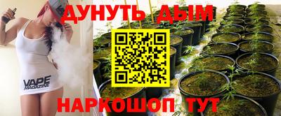 прущие крисы Новодвинск