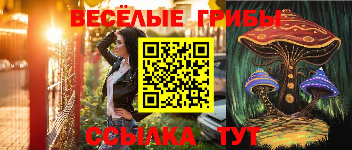 Торжок  цена   Вход с VPN  Псилоцибиновые грибы ЛСД 